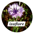 Izaflore