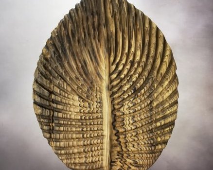 Feuille arrondie