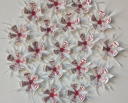 Calicot Monkey Flowers