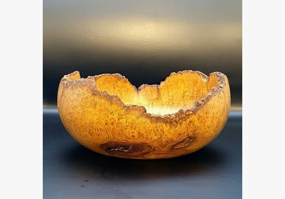 Loupe d’acacia