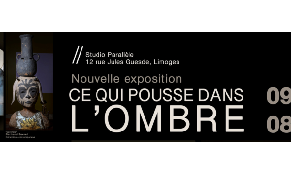 Ce qui pousse dans l’ombre