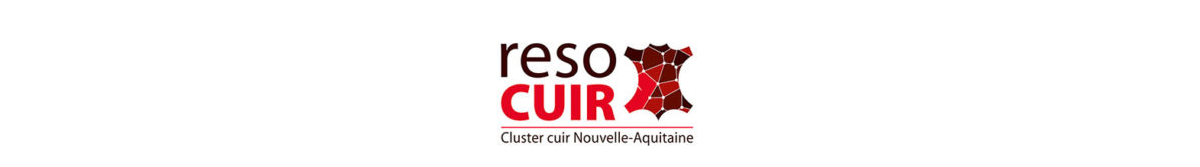 RECRUTEMENT DANS LA FILIÈRE CUIR