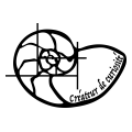 Créateur de Curiosité