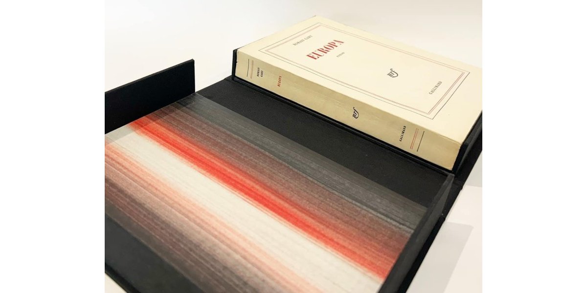 Boîte à chasses de conservation pour une édition originale