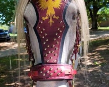 FILET CHEVAL MEDIEVAL