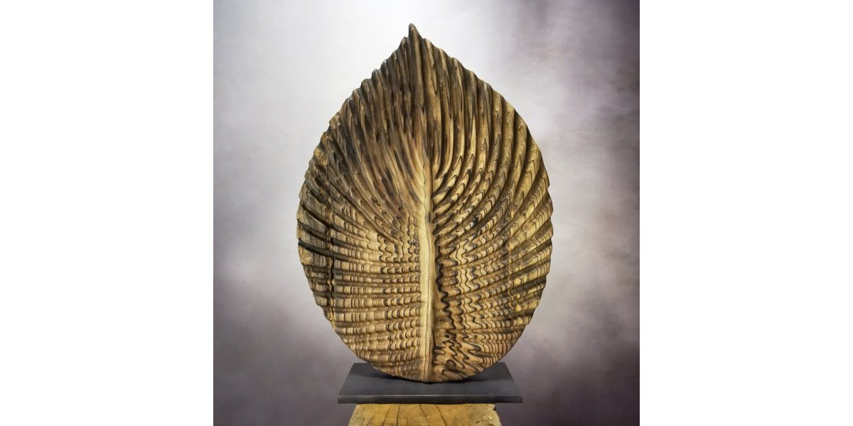 Feuille arrondie