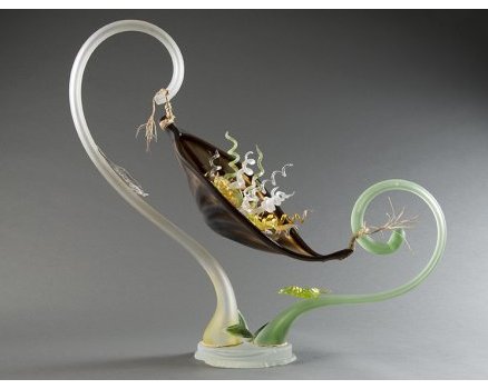 Liana Spiralis