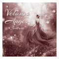 Au Velours des Anges