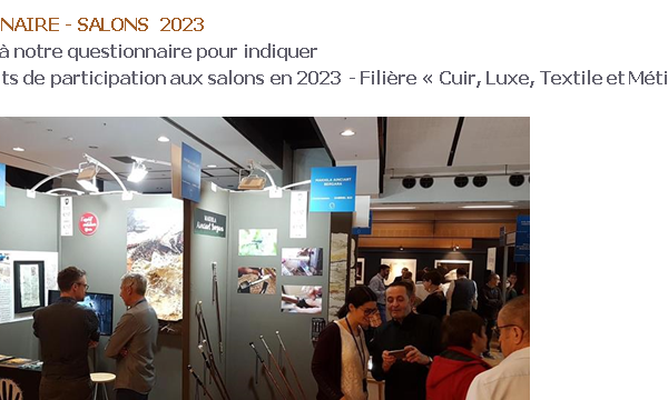 QUESTIONNAIRE - SALONS  2023
