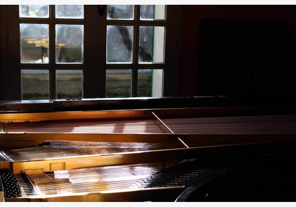 Lumière sur cordes