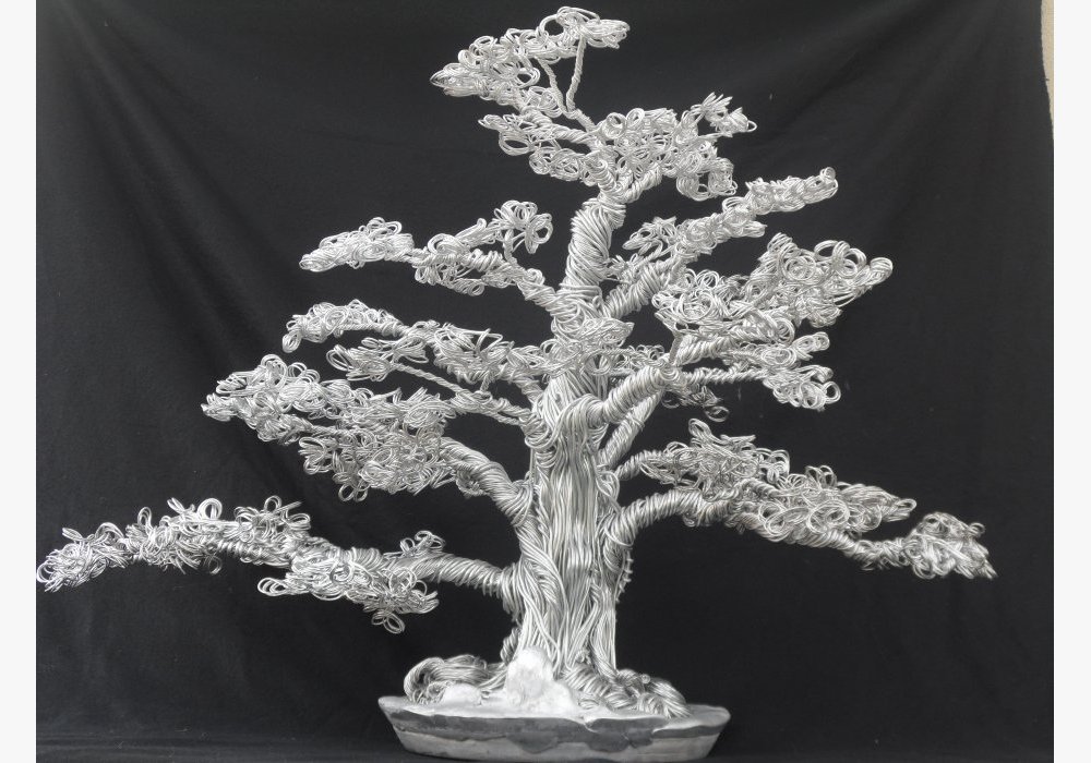  Le Zelkova
